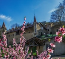 SPRING WORKSHOPS